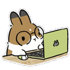 但为君故