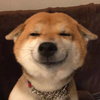 hailarpig