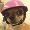 Babige