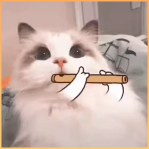 靓女