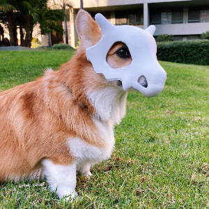 taotao
