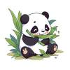 cooie