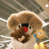 林子云