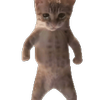 gamekb